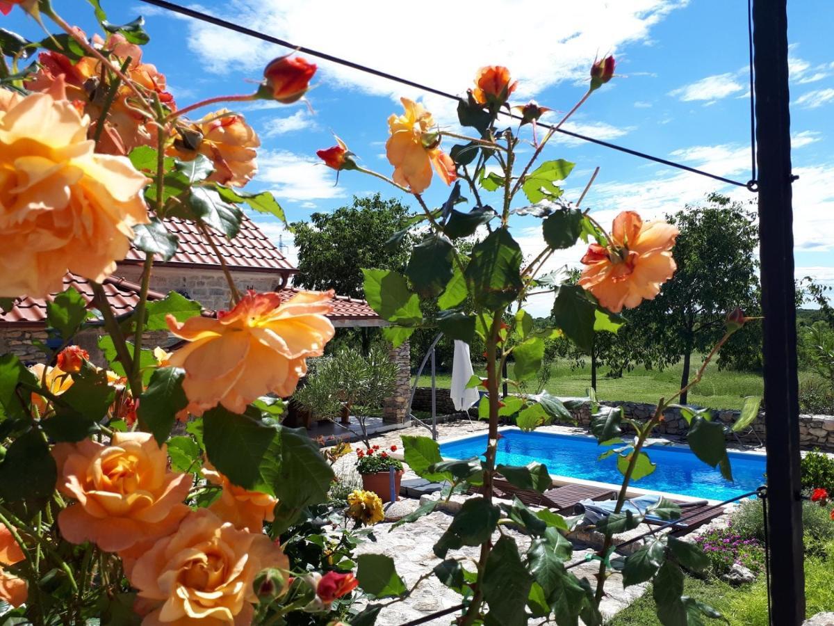 Holiday Home Toma Puljane Exterior photo
